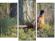 Triptychon