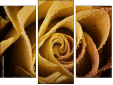 Triptychon