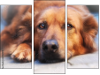 Triptychon