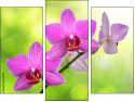 Triptychon