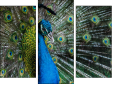 Triptychon