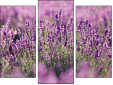 Triptychon