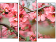 Triptychon