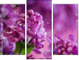 Triptychon