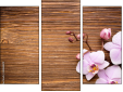 Triptychon