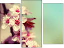 Triptychon