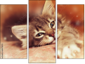 Triptychon