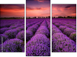 Triptychon