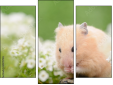 Triptychon