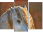 Triptychon