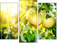Triptychon