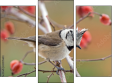Triptychon