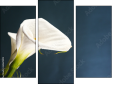 Triptychon