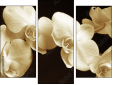 Triptychon