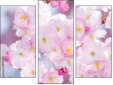 Triptychon