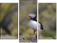 Triptychon
