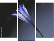 Triptychon