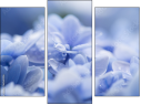 Triptychon