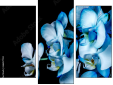 Triptychon