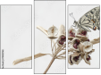Triptychon