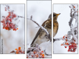Triptychon