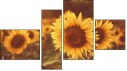 Viertychon