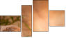 Viertychon