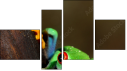 Viertychon