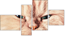 Viertychon