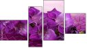 Viertychon
