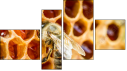 Viertychon