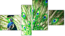 Viertychon