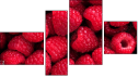 Viertychon