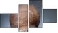 Viertychon
