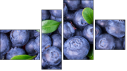 Viertychon