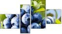 Viertychon