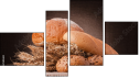 Viertychon