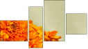 Viertychon