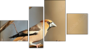 Viertychon