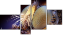 Viertychon