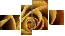 Viertychon