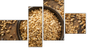 Viertychon