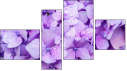 Viertychon