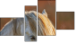 Viertychon