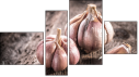 Viertychon