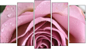 Pentaptychon