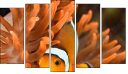 Pentaptychon