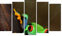 Pentaptychon