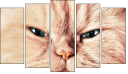 Pentaptychon
