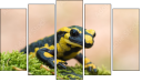 Pentaptychon